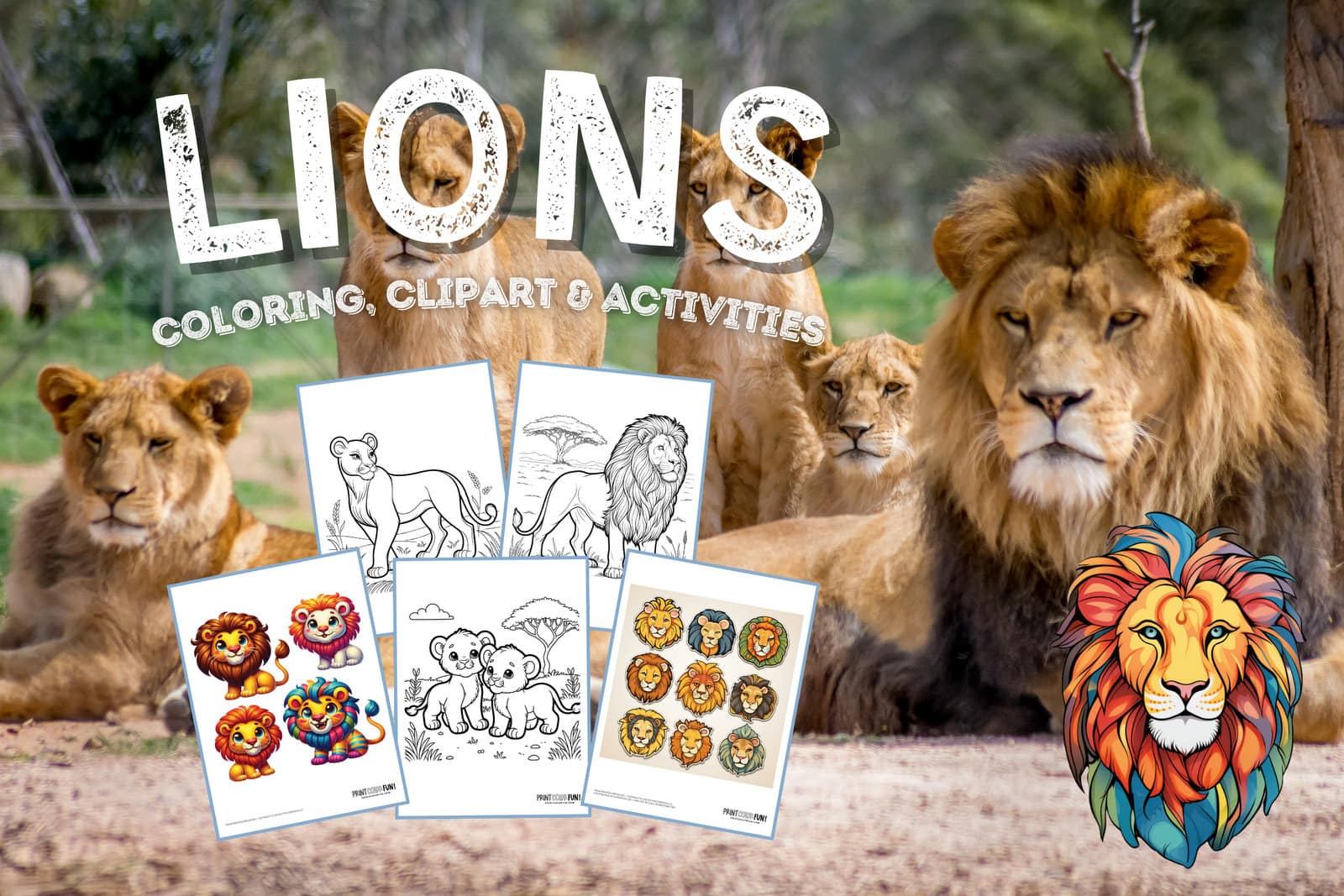 Lion clipart and coloring pages from PrintColorFun com