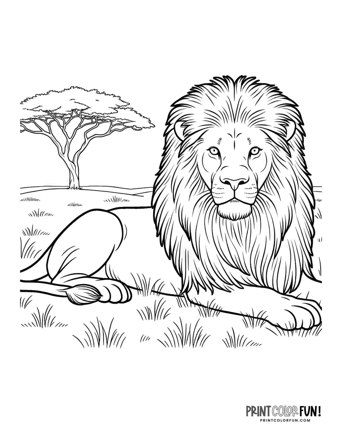 30 lion clipart & coloring pages: With fun crafts, facts & activities ...