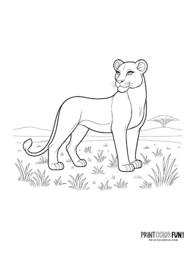 Lioness coloring page - PrintColorFun com