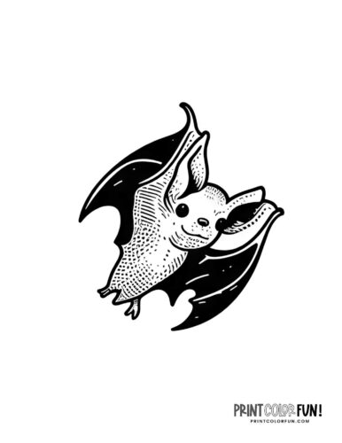 Little bat flying