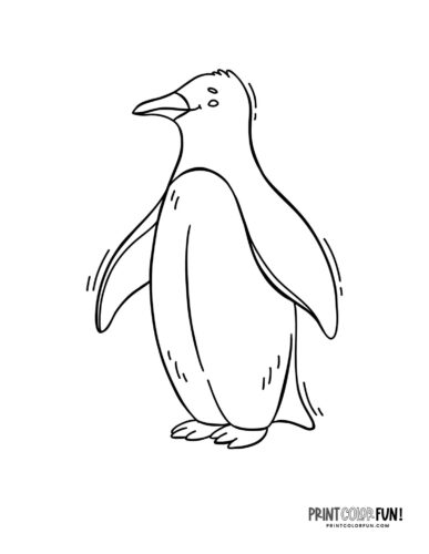 Little penguin walking coloring page from PrintColorFun com