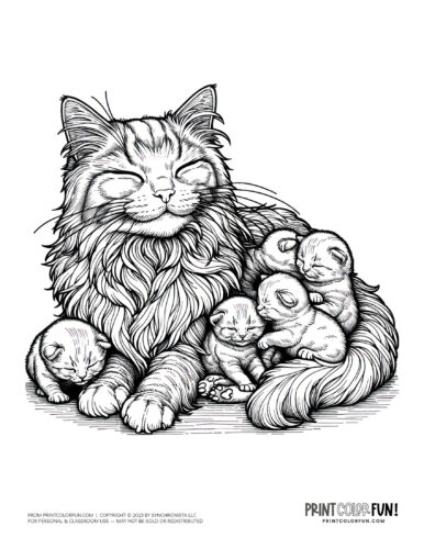Mama cat with kittens coloring page clipart from PrintColorFun com (1)