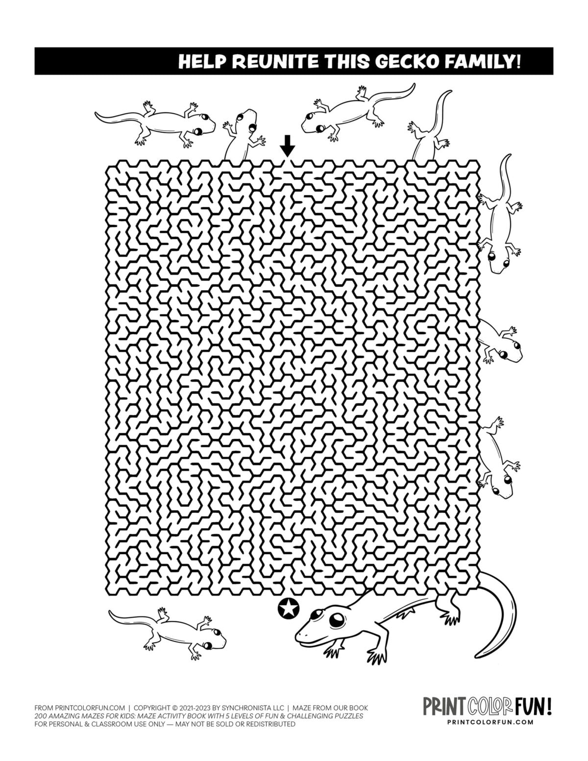 Hard maze difficulty: 11 big advanced skill printable mazes for kids & adults, at PrintColorFun.com