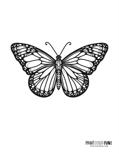 Monarch butterfly coloring page - PrintColorFun com
