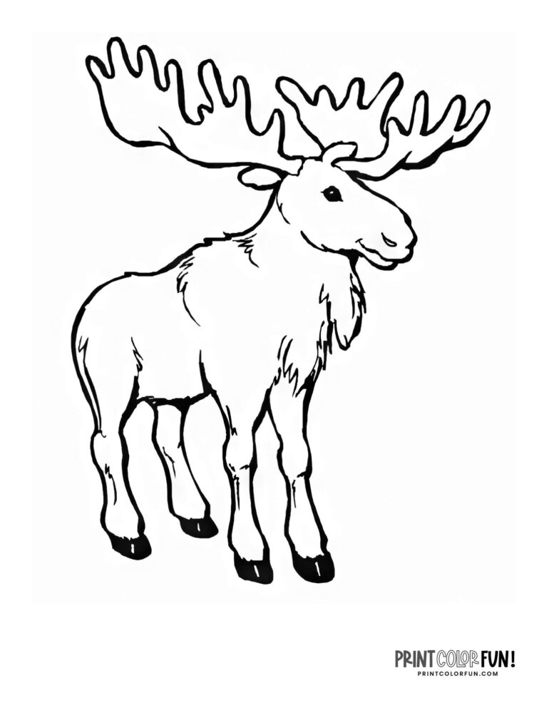 12+ Moose clipart & coloring pages, plus 10 engaging craft and learning ...