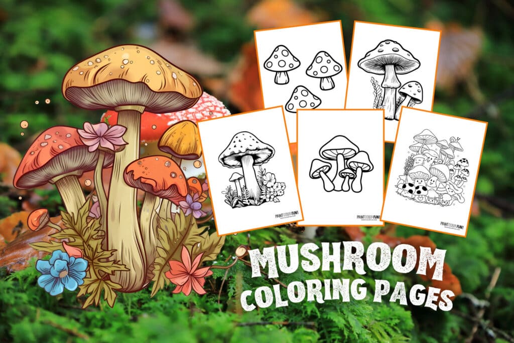 Mushroom coloring pages and activities for kids at PrintColorFun com