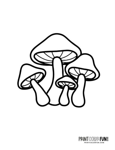 Mushrooms coloring pages at PrintColorFun com (1)