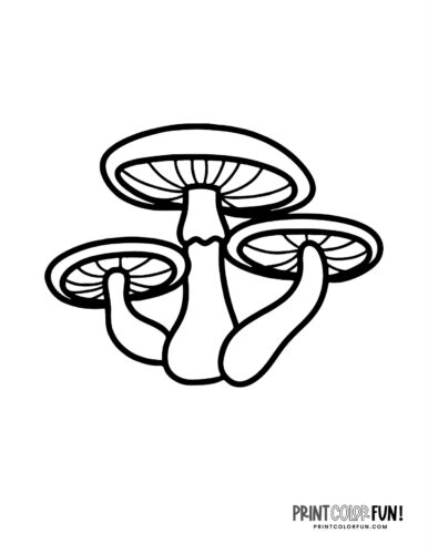 Mushrooms coloring pages at PrintColorFun com (3)