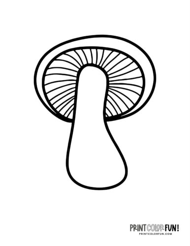 Mushrooms coloring pages at PrintColorFun com (5)