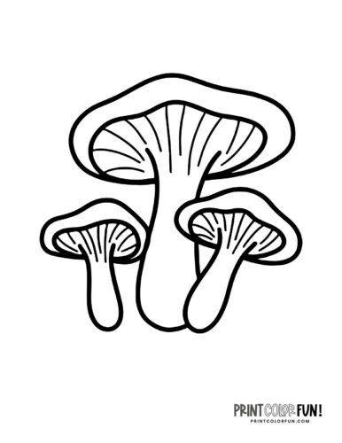 Mushrooms coloring pages at PrintColorFun com (9)