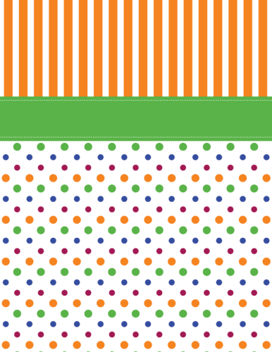 Orange and green binder cover from PrintColorFun com (back)