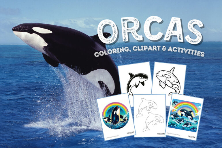 Orca (Killer Whale) clipart and coloring pages at PrintColorFun com