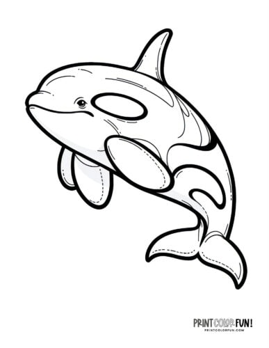 Orca killer whale coloring page clipart from PrintColorFun com (1)