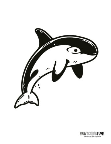 Orca killer whale coloring page clipart from PrintColorFun com (2)