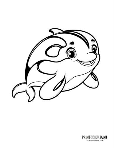 Orca killer whale coloring page clipart from PrintColorFun com (3)