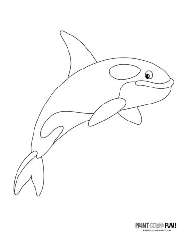 Orca killer whale coloring page clipart from PrintColorFun com (4)