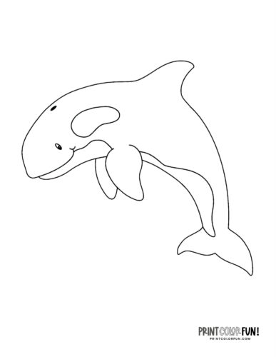 Orca killer whale coloring page clipart from PrintColorFun com (6)