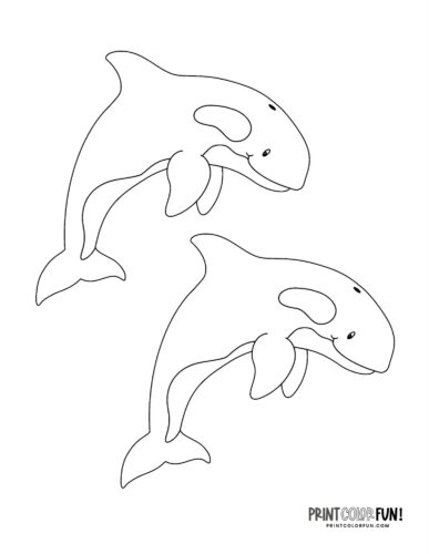 Orca killer whale coloring page clipart from PrintColorFun com (7)