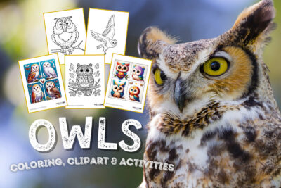 Owl coloring page clipart activities from PrintColorFun com