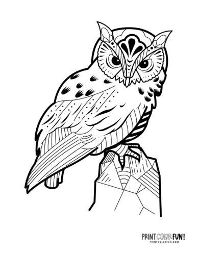 Owl coloring page clipart from PrintColorFun com (1)