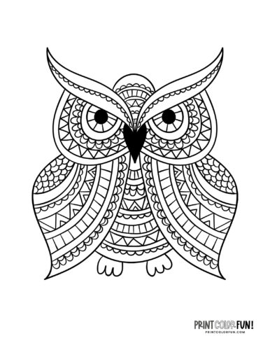 Owl coloring page clipart from PrintColorFun com (2)