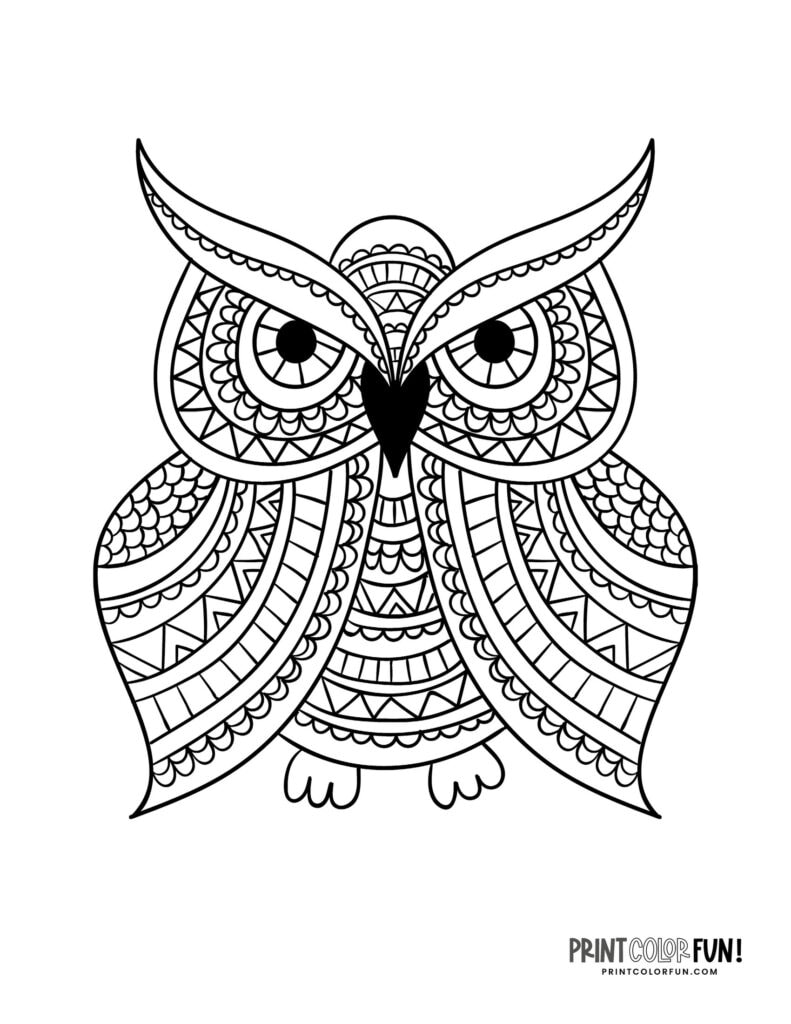 Whoo's ready to color? 38 fun owl coloring pages & clipart for young ...