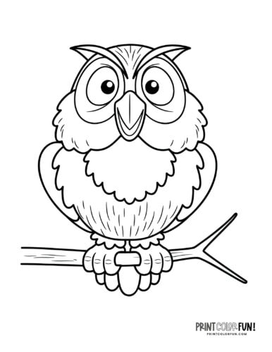 Owl coloring page clipart from PrintColorFun com (3)