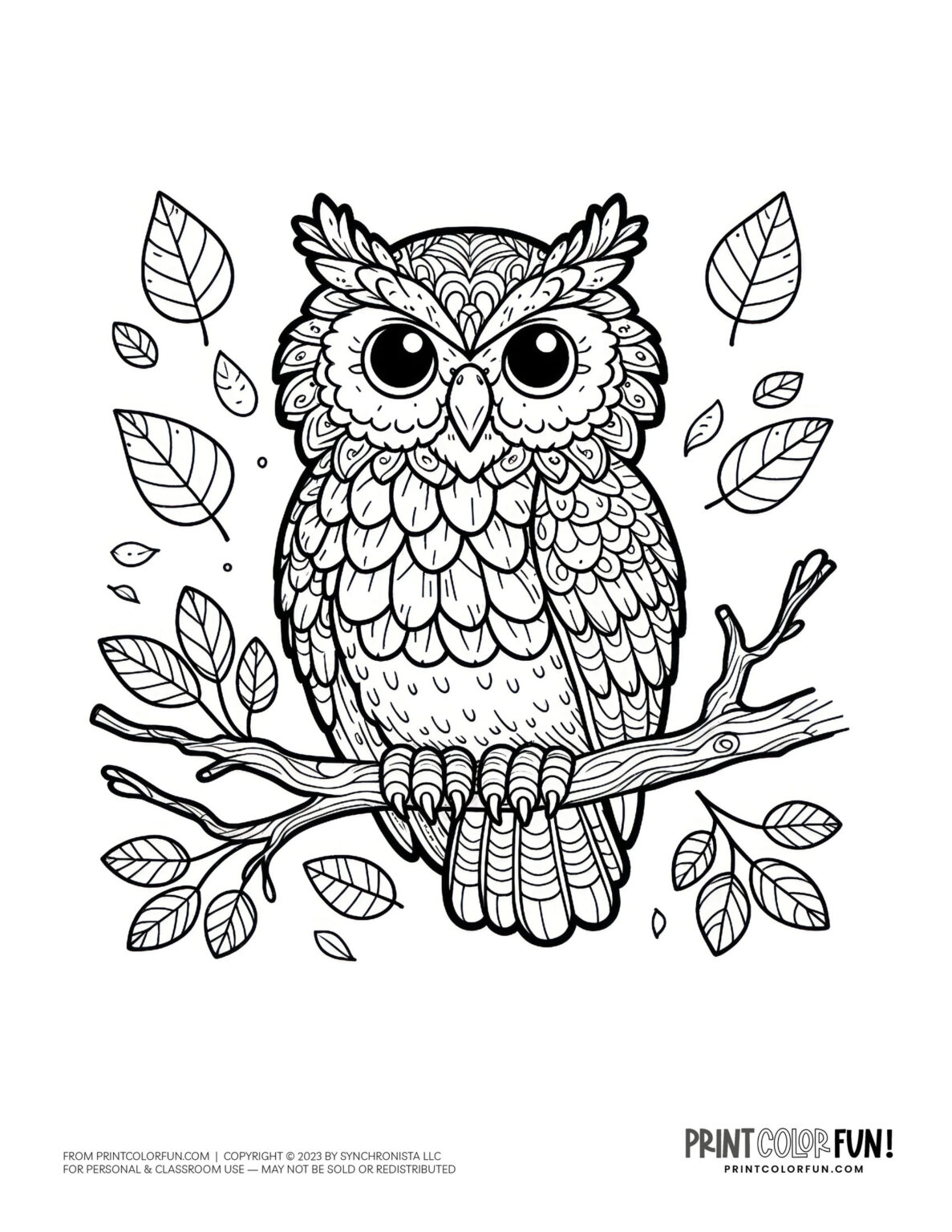 Owl coloring pages & clipart, at PrintColorFun.com