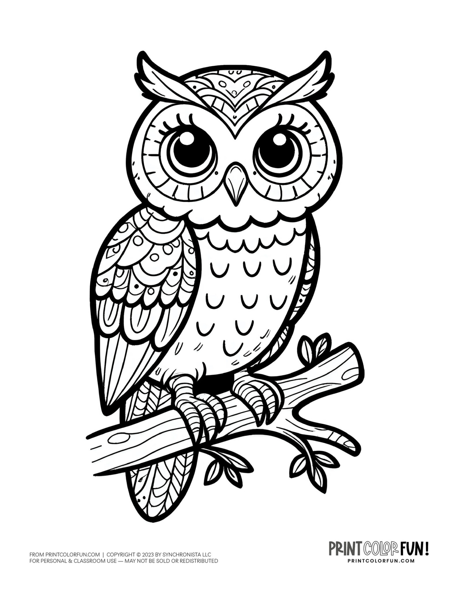 Owl coloring pages & clipart, at PrintColorFun.com