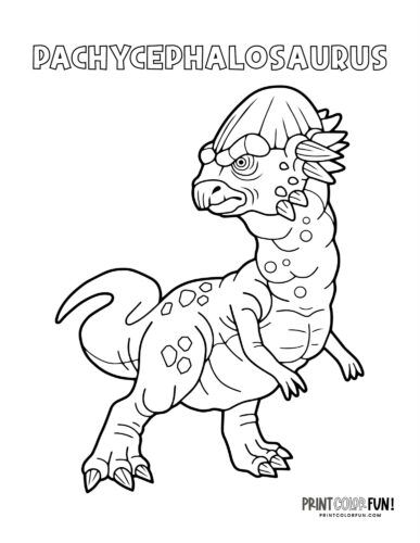 Pachycephalosaurus dinosaur coloring page - PrintColorFun com