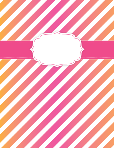 Pink and orange gradient stripes binder cover from PrintColorFun com (front)