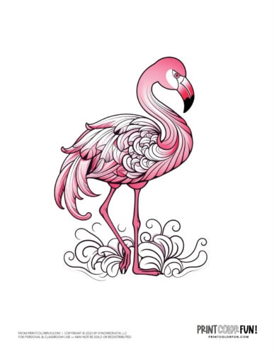 Pink flamingo color clipart from PrintColorFun com