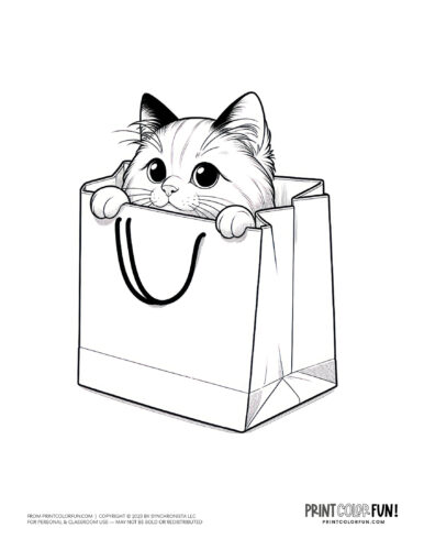 Playful cat in a shopping bag from PrintColorFun com