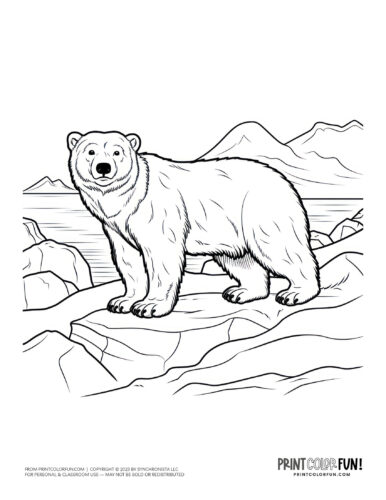 Polar bear coloring page from PrintColorFun com