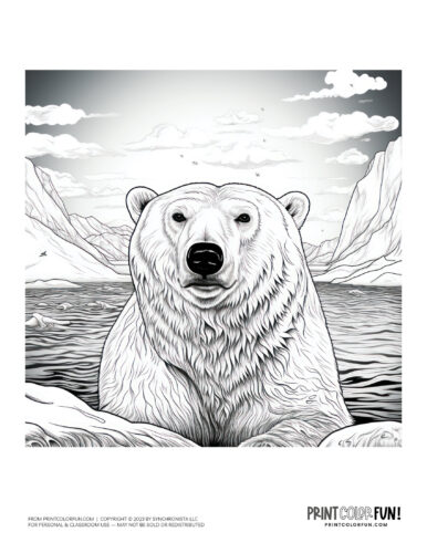 Polar bear drawing coloring page from PrintColorFun com