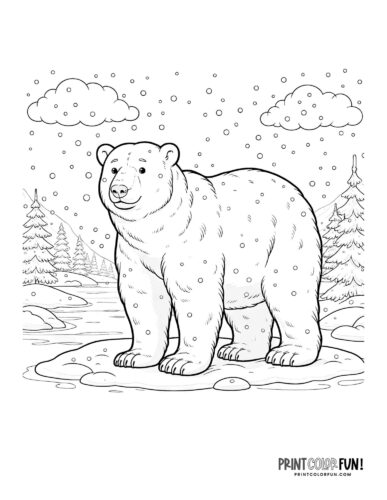 Polar bear in the snow coloring page - PrintColorFun com