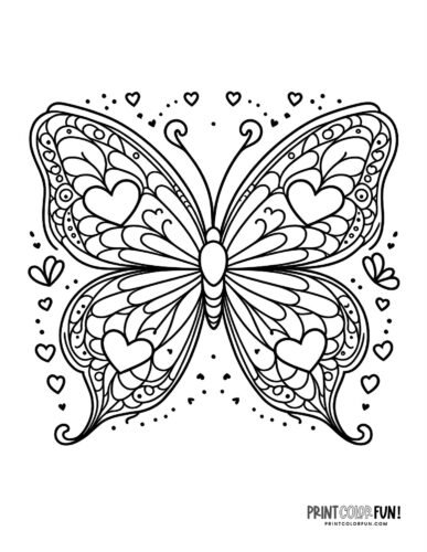 Pretty black and white butterfly coloring page - PrintColorFun com