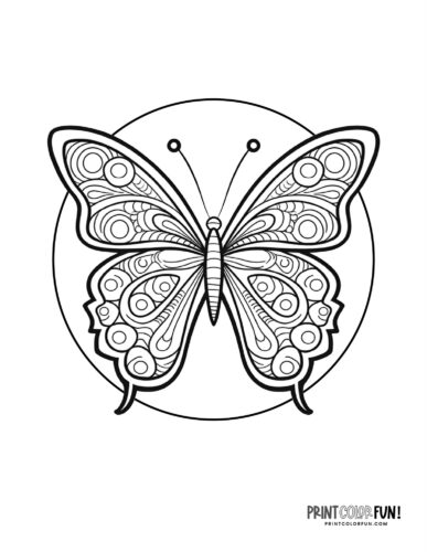 Pretty butterfly artwork coloring page - PrintColorFun com