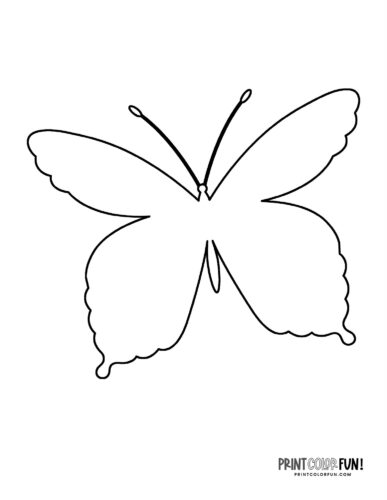Pretty butterfly outline coloring page - PrintColorFun com