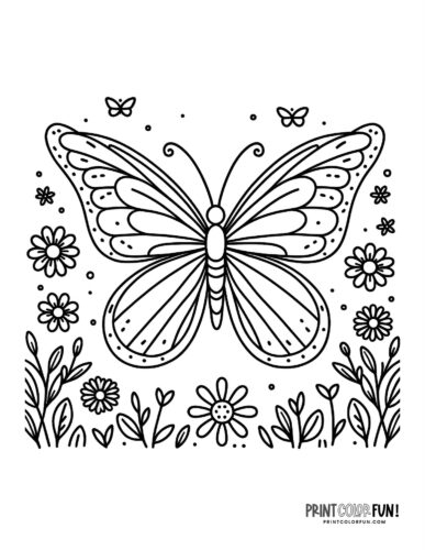 Pretty butterfly papillon coloring page - PrintColorFun com