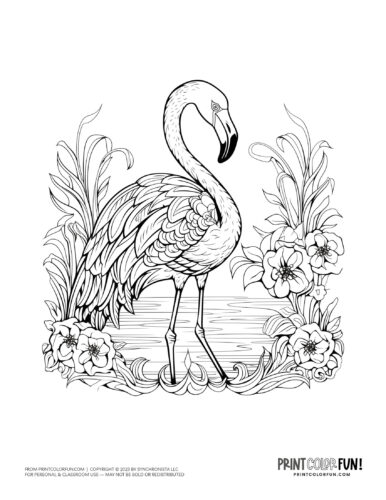 Pretty flamingo bird coloring page clipart from PrintColorFun com