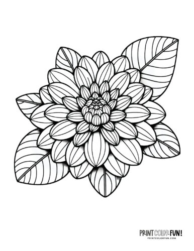 Pretty flower design coloring page at PrintColorFun com from PrintColorFun com