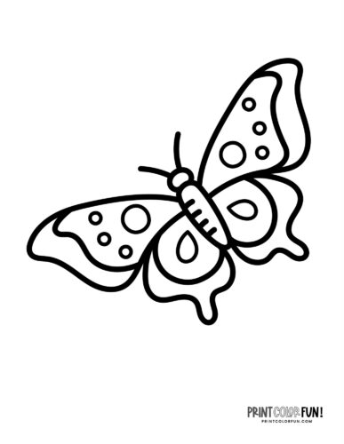 Pretty simple butterfly coloring page - PrintColorFun com