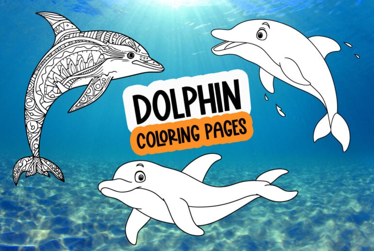 Printable dolphin coloring pages. at PrintColorFun com