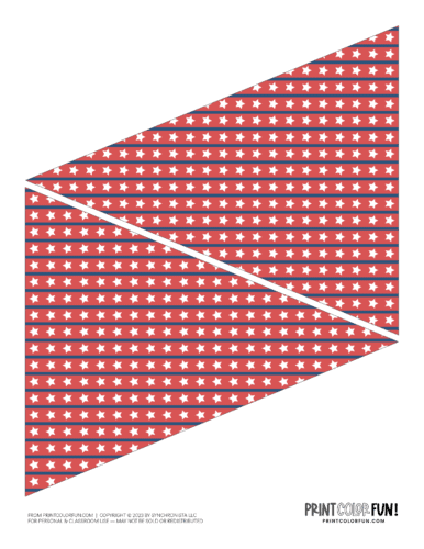 Printable party pennant flag from PrintColorFun com 04