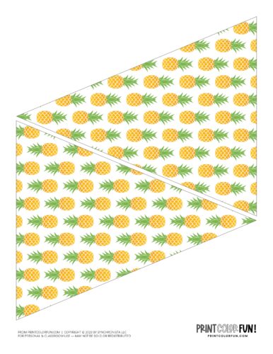 Printable party pennant flag from PrintColorFun com 06
