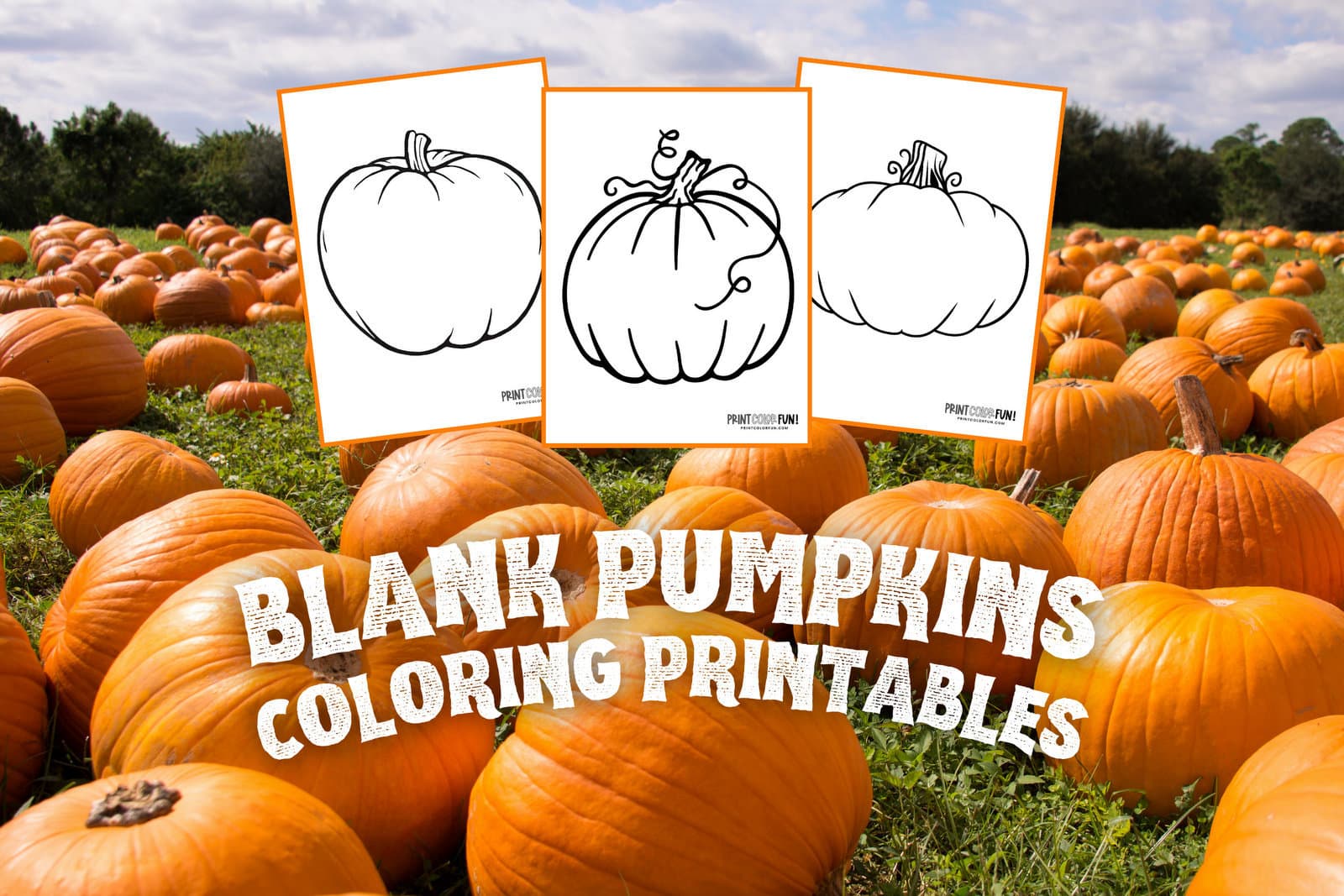 Pumpkin outline printables: 5 large blank pumpkin templates for autumn fun,  at