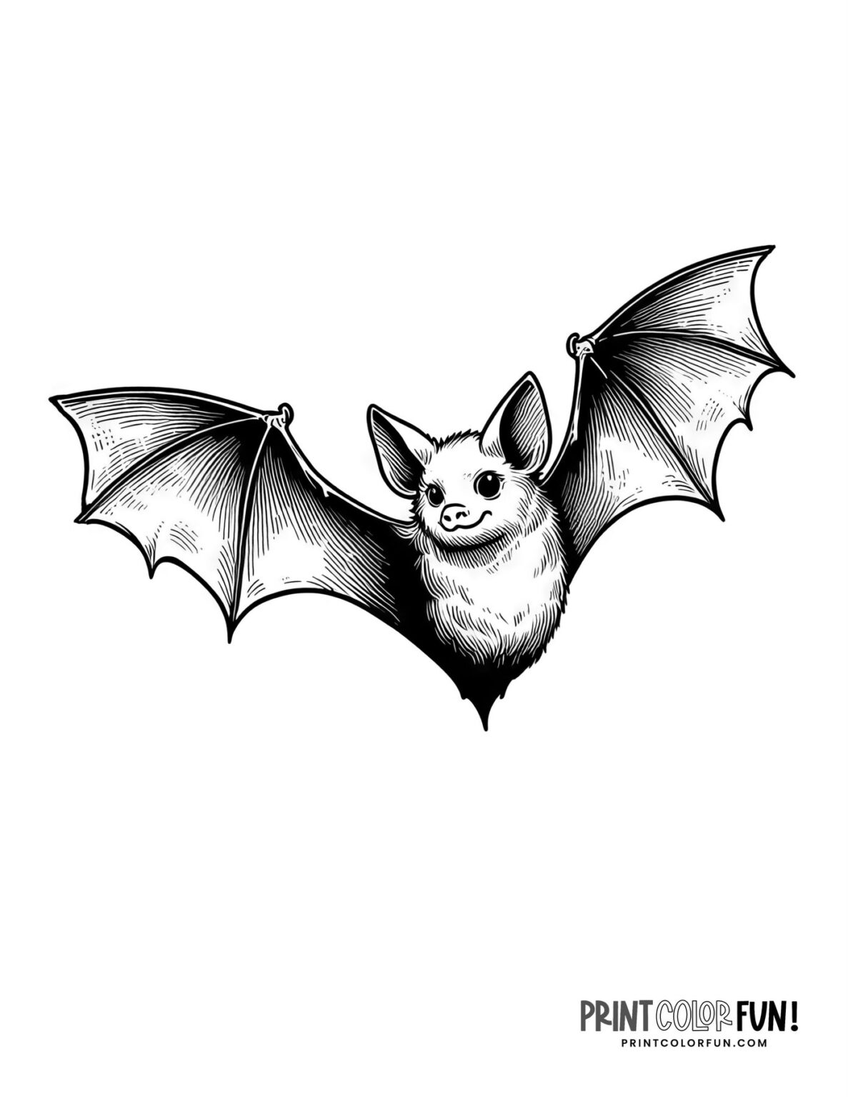 20 bat coloring pages, crafts & more for Halloween learning fun, at ...