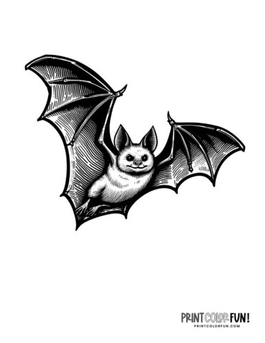 Realistic bat coloring printable from PrintColorFun com