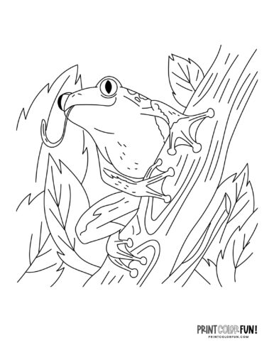 Realistic cartoon frog drawing coloring page from PrintColorFun com (1)
